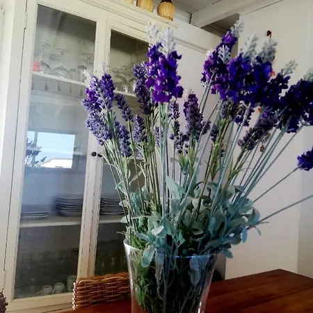 Casa Letizia Διαμέρισμα Κοραλέχο